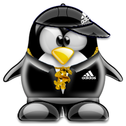 penguin pingouin pinguino 481